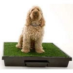 Petsafe Loo Potty Training System Dog Indoor Toilet, Medium PWM00-14498. Fixed Price $128.88.