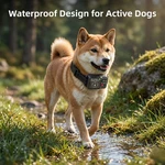 Dog Training Collar With Remote Long Range Waterproof Rechargeable For Small Med. Fixed Price $124.99.