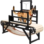 Large Dog Treadmill Pet Trotter Running Machine Exercise Equipment. Fixed Price $596.99.