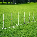Dog Weave Pole Agility Starter Kit Pet Outdoor Exercise Training. Fixed Price $45.99.