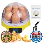 Zemiro Charge 7-EGG Incubator 360 View Manual Temp Control Poultry Hatcher. Fixed Price $28.03.