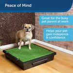 Petsafe Loo Potty Training System Dog Indoor Toilet Large/medium/small. Fixed Price $99.95.