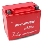 Banshee YTX12-BS High Performance Agm Rechargeable Power Sports Atv Battery. Fixed Price $49.62.